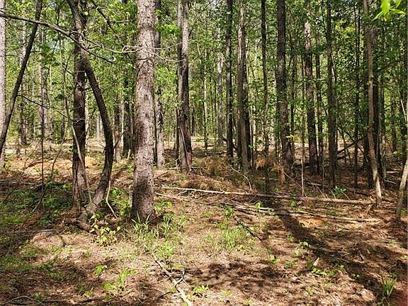 4th image of LOT 5 N State Highway 62 Hwy