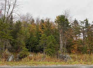 0 Big Moose Rd, Eagle Bay, NY 13331