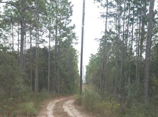 13223 Seneca Rd, Weeki Wachee, FL 34614