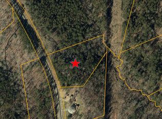 165 Dragonfly Mountain Trl, Mill Spring, NC 28756