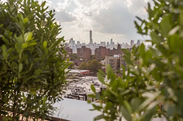 Rented by MNS | media 37