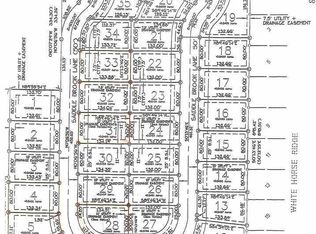 1105 Saddle Brook Ln, Metamora, IL 61548