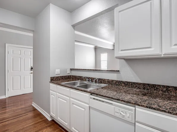 The Sasha at University