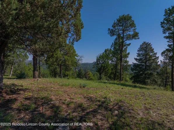 100 Tank Rd, Ruidoso, NM 88345