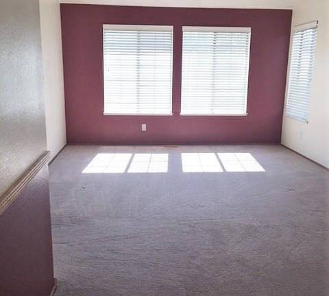 3rd image of 3655 Shady Hollow Ct