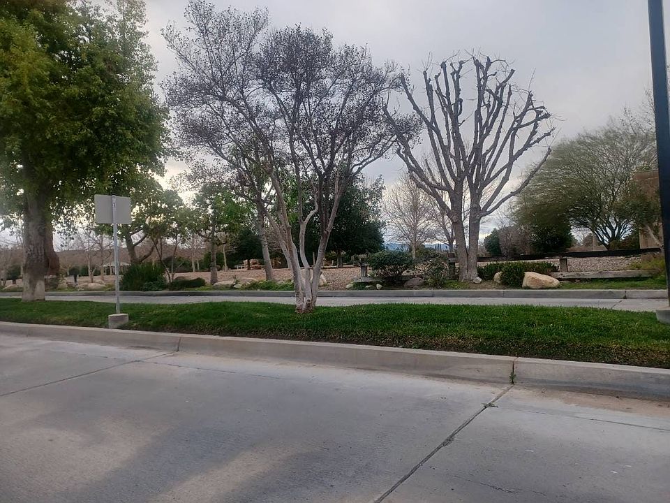 2nd image of 19735 Emerald Creek Dr