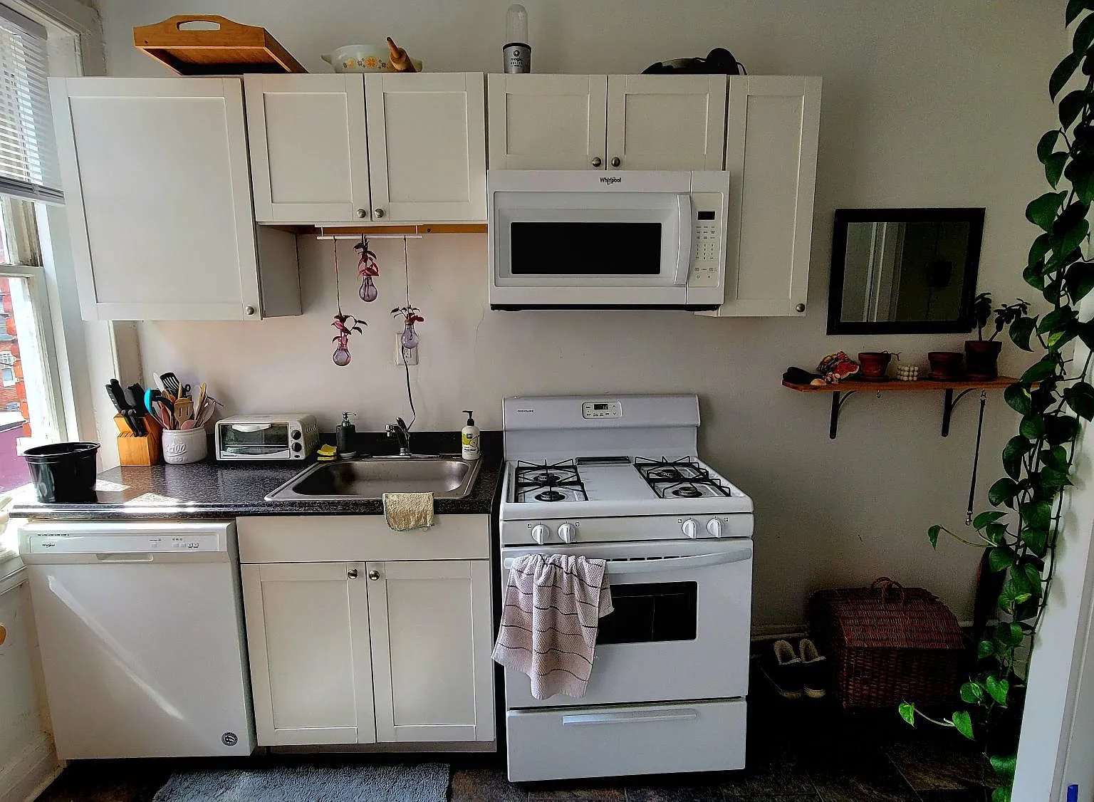 1 bed, 800 sqft, $995 — Photo 4