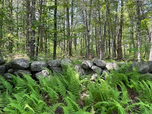 00 Gap Mountain Road, Fitzwilliam, NH 03447