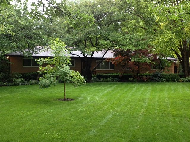 1st image of 3555 Kingsway Dr