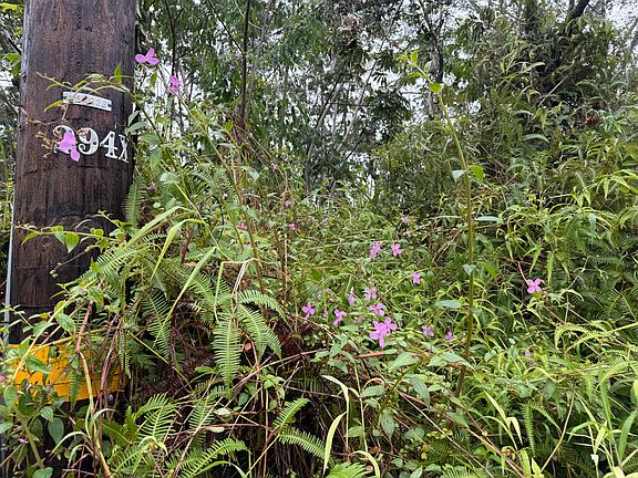 5th image of Forest Rd Lot 464