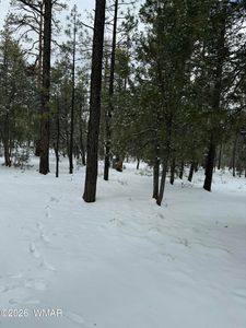 1370 W Paradise Ln, Lakeside, AZ, 85929