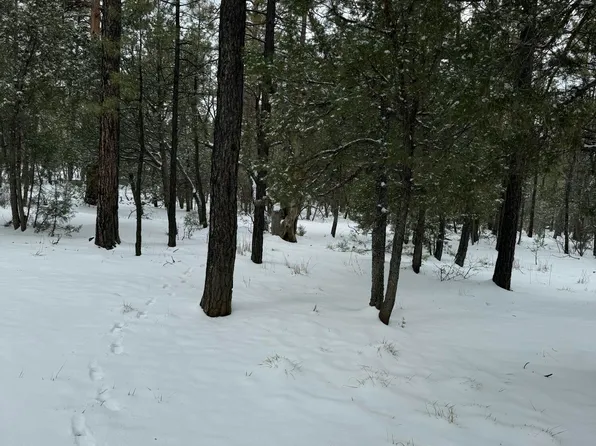 1370 W Paradise Ln, Lakeside, AZ 85929