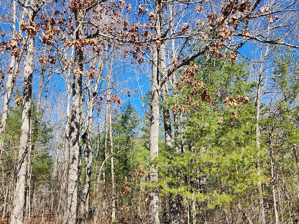 2nd image of 0 Brown Creek Dr #223