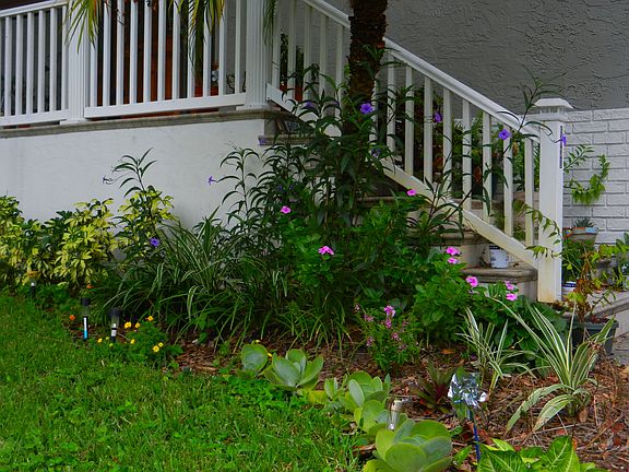 Lovely landscaping