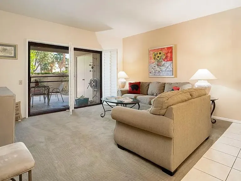 255 S Avenida Caballeros #105 — Photo 13