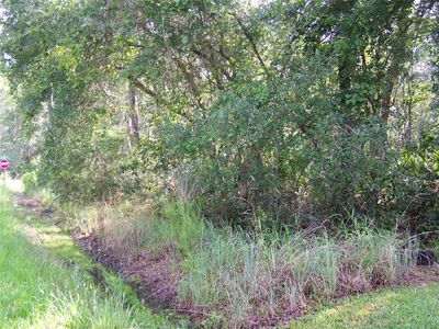10th Avenue Lot #4, Deland, FL, 32724