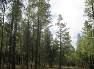 4318 Apache Dr, Happy Jack, AZ 86024