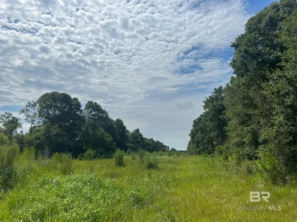 0 Newman Rd #1, Mobile, AL 36695