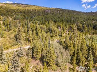 Lincoln Dr, Idaho Springs, CO 80452