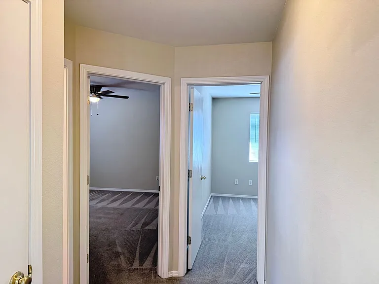 12553 Catch Pen Rd — Photo 8