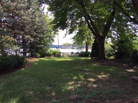 Back Yard from Patio