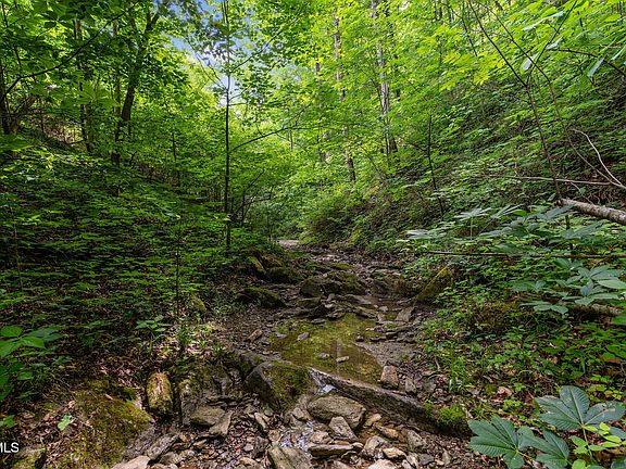 4th image of Rocky Hollow Rd