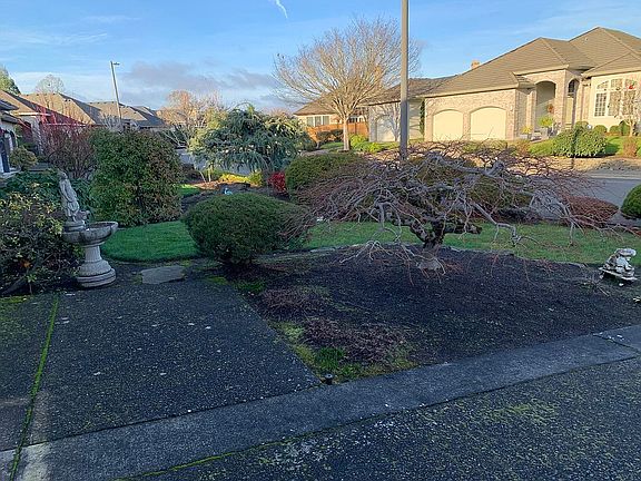 Front Yard