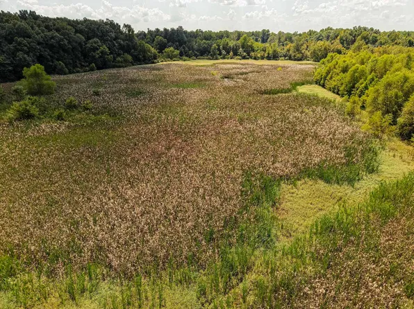 0 Galloway Levee Rd, Arlington, TN 38002