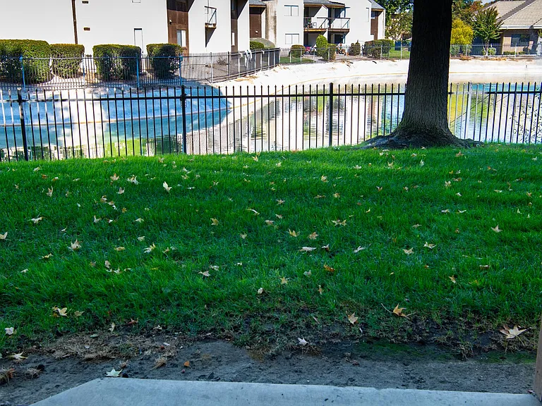 2905 Niagra St #159 — Photo 5