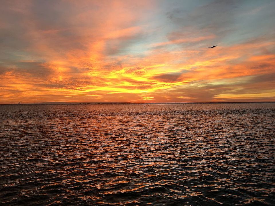 2nd image of 3600 Coquina Key Dr SE