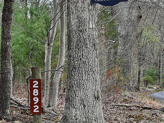 3rd image of 2892 Gooney Manor Loop