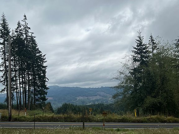 Primary south-facing viewpoint. This pathway is an entry point to lots of wildlife that pass through.