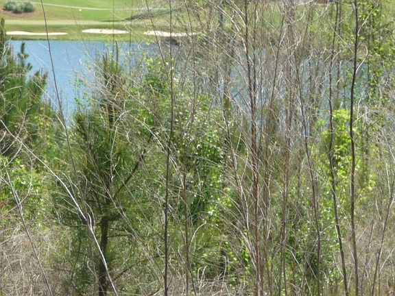 5th image of 105 Sea Grass Ln