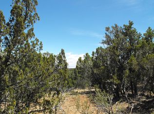 7226 Red Feather Ct, Happy Jack, AZ 86024
