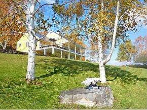 Welcome to Pleasant Hill Farm!