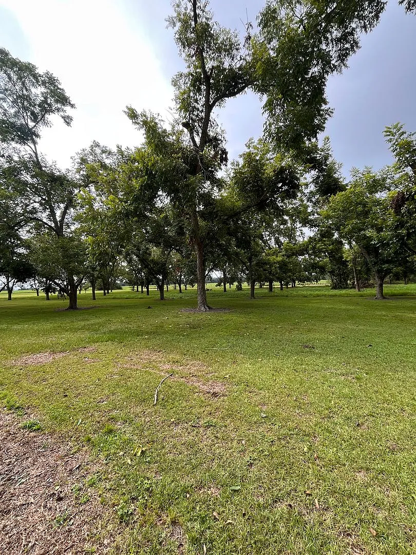 North Lowndes County Home — Photo 3