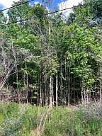 1st image of 0 Harmony Hall Ln