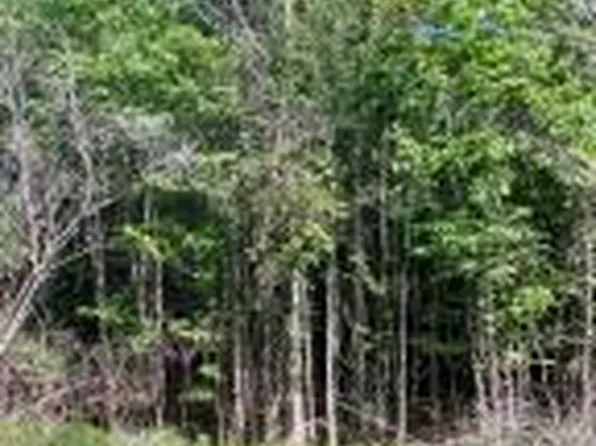 0 Harmony Hall Ln, Cottageville, SC 29435