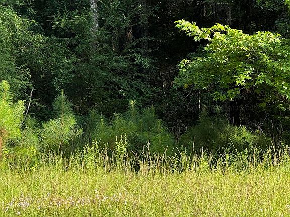 5th image of 1529 Cheatham Rd
