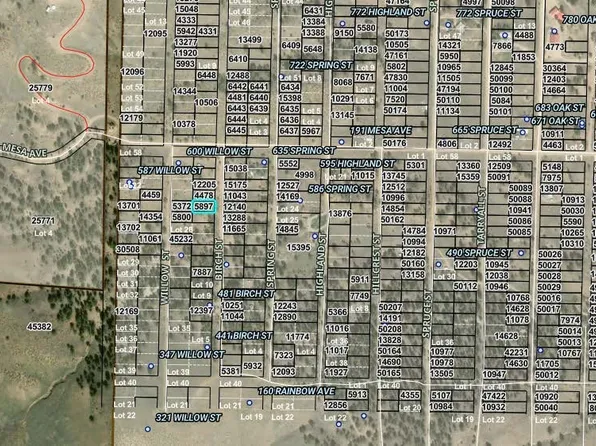 00001 Birch Street, Hartsel, CO 80449