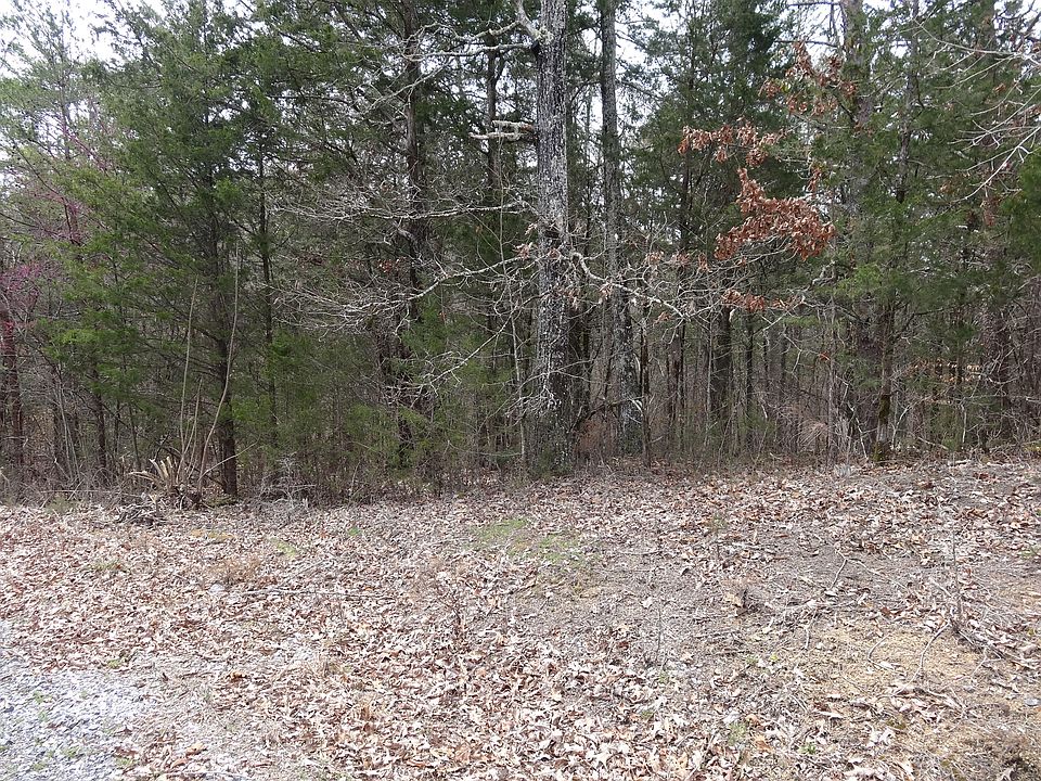 2nd image of Island View Rd