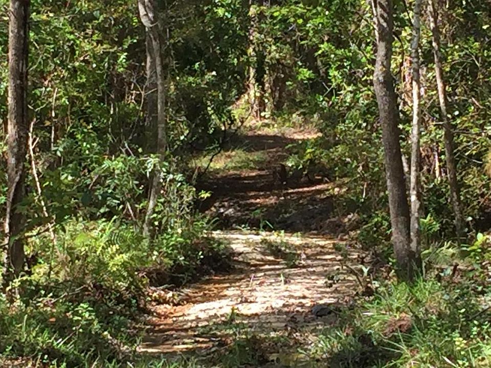1st image of 1951 River Oaks Dr