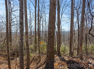 0 Dogwood Dr, Lake Lure, NC 28746