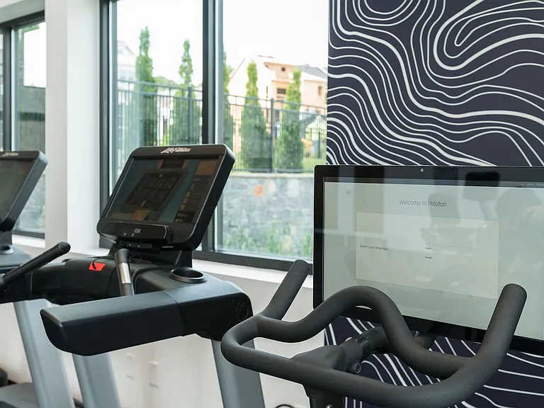Peloton bikes