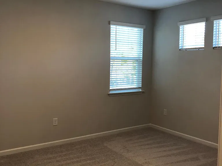 341 Lucky Ribbon Ln — Photo 19