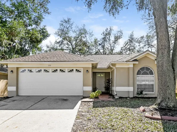 1111 Hardwood Dr, Valrico, FL 33596