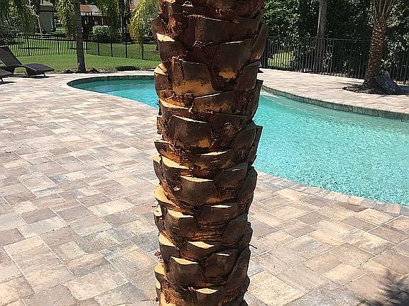 3rd image of 626 Hills Blvd