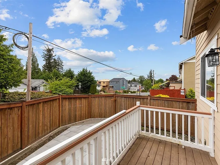 Back yard