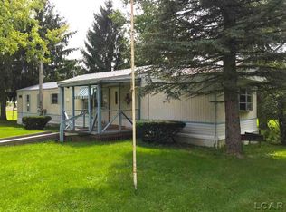 1077 Davis St, Adrian, MI 49221