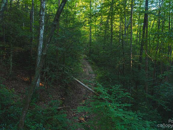 4th image of 4157 Kirby Mountain Rd